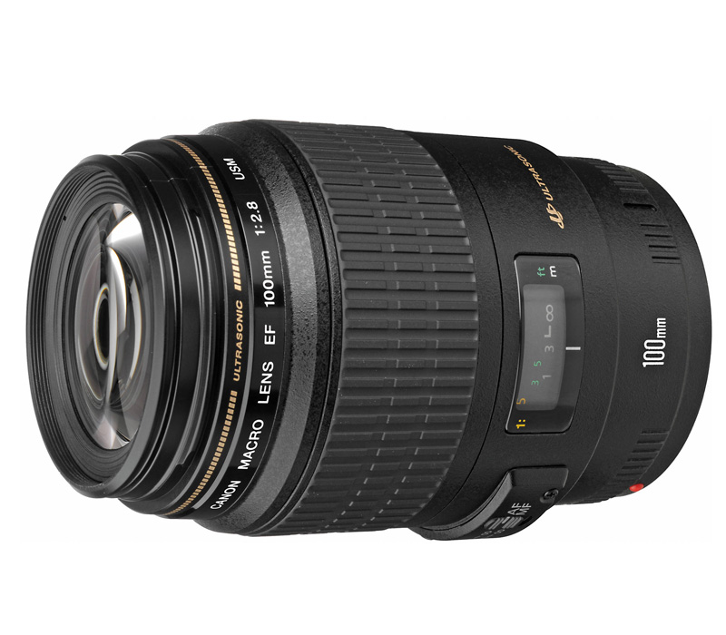 Объектив Canon EF 100mm f/2.8 Macro